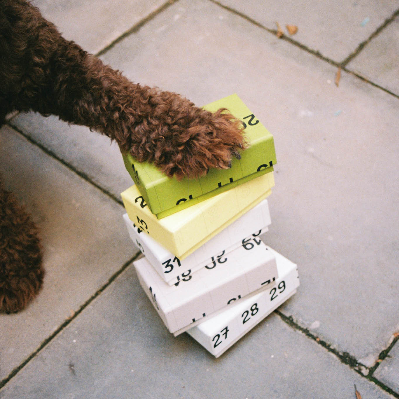 CAJA RESCATE